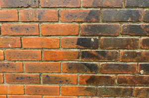 Brick Cleaning Hampstead