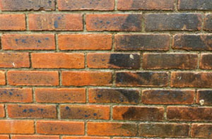 Brick Cleaning Hughenden Valley Brick Cleaning Hughenden Valley