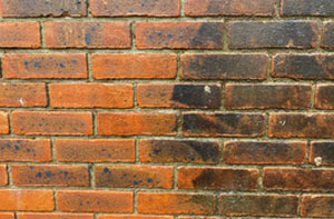 Brick Cleaning Chiswick